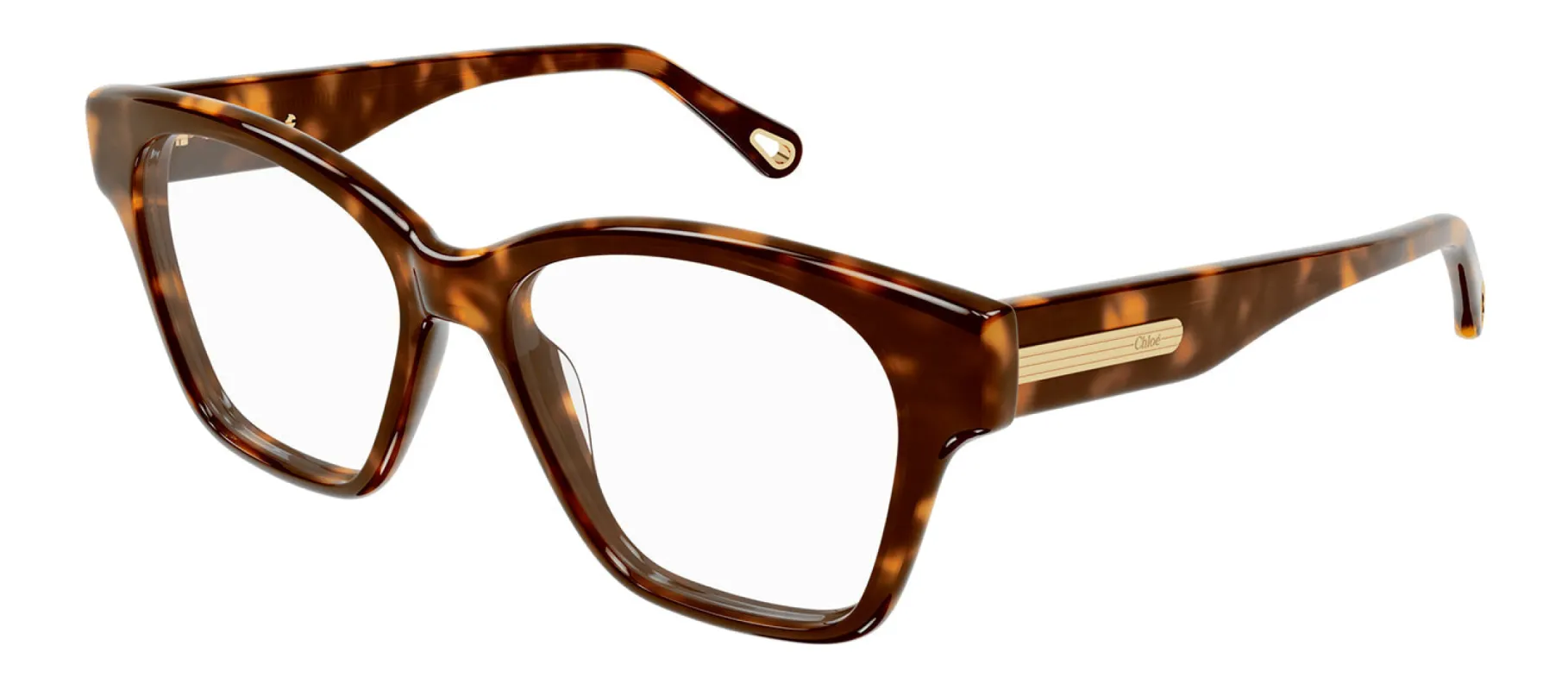 Chloe CH 0122O 002 Square Plastic Havana Eyeglasses with Logo Stamped Demo Lenses sold by Gaffos