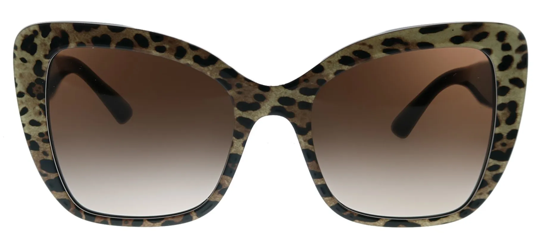Dolce & Gabbana DG 4348 316313 Butterfly Plastic Leo Brown On Black Sunglasses with Brown Gradient Lens sold by Gaffos