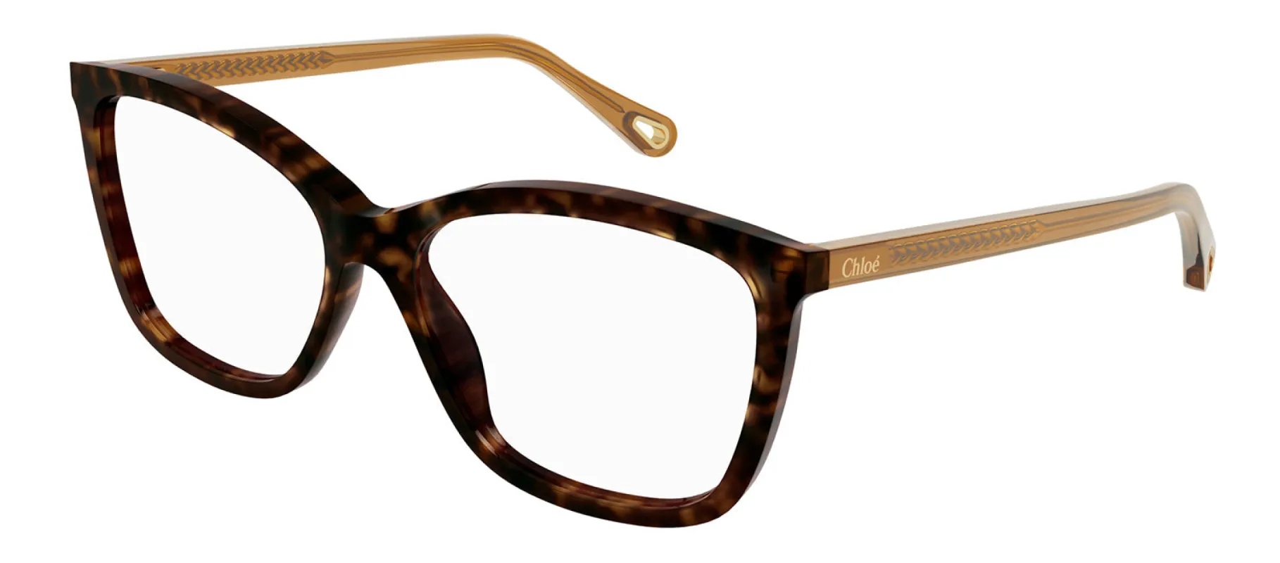 Chloe CH 0118O 002 Cat-Eye Plastic Havana Eyeglasses with Logo Stamped Demo Lenses sold by Gaffos