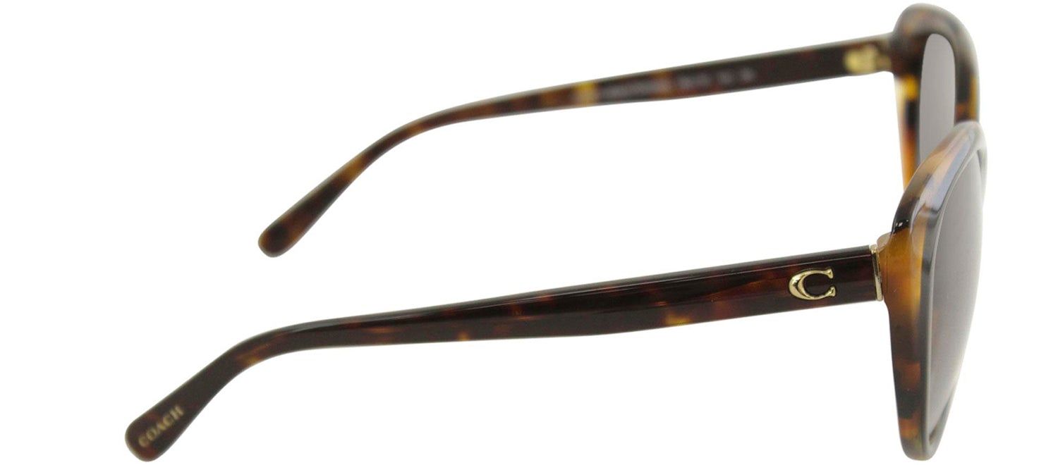 Coach HC 8260 544611 Cat-Eye Plastic Havana Sunglasses with Grey Gradient Lens sold by Gaffos product image thumbnail 3