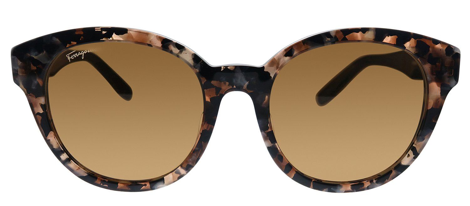 Salvatore Ferragamo SF 884SA 273 Cat-Eye Plastic Havana Sunglasses with Brown Lens sold by Gaffos