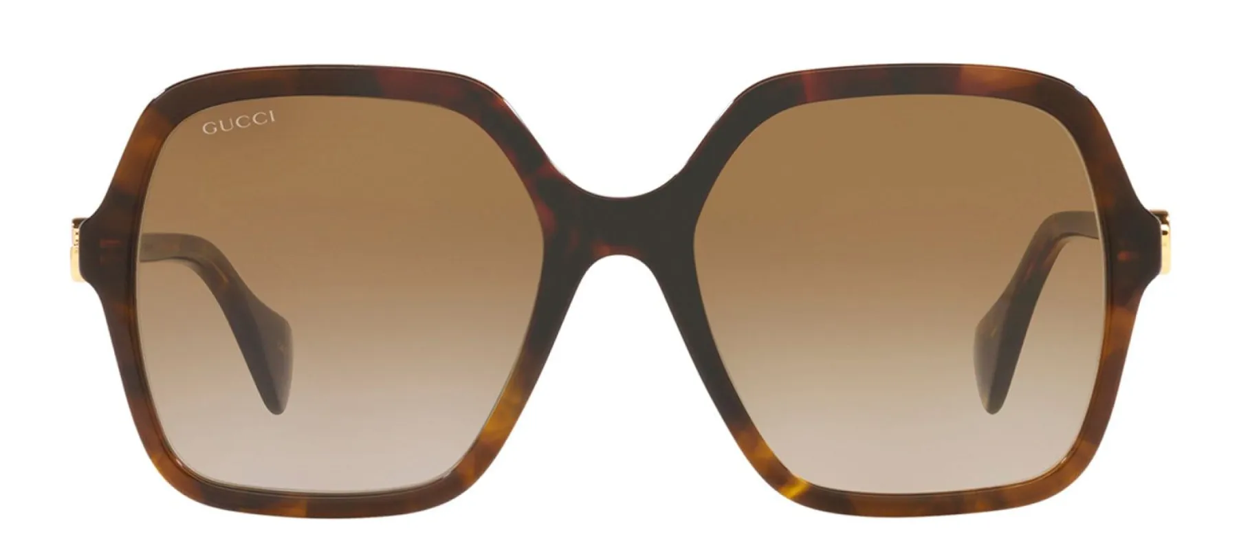 Gucci GG 1072S 002 Square Plastic Havana Sunglasses with Brown Gradient Lens sold by Gaffos