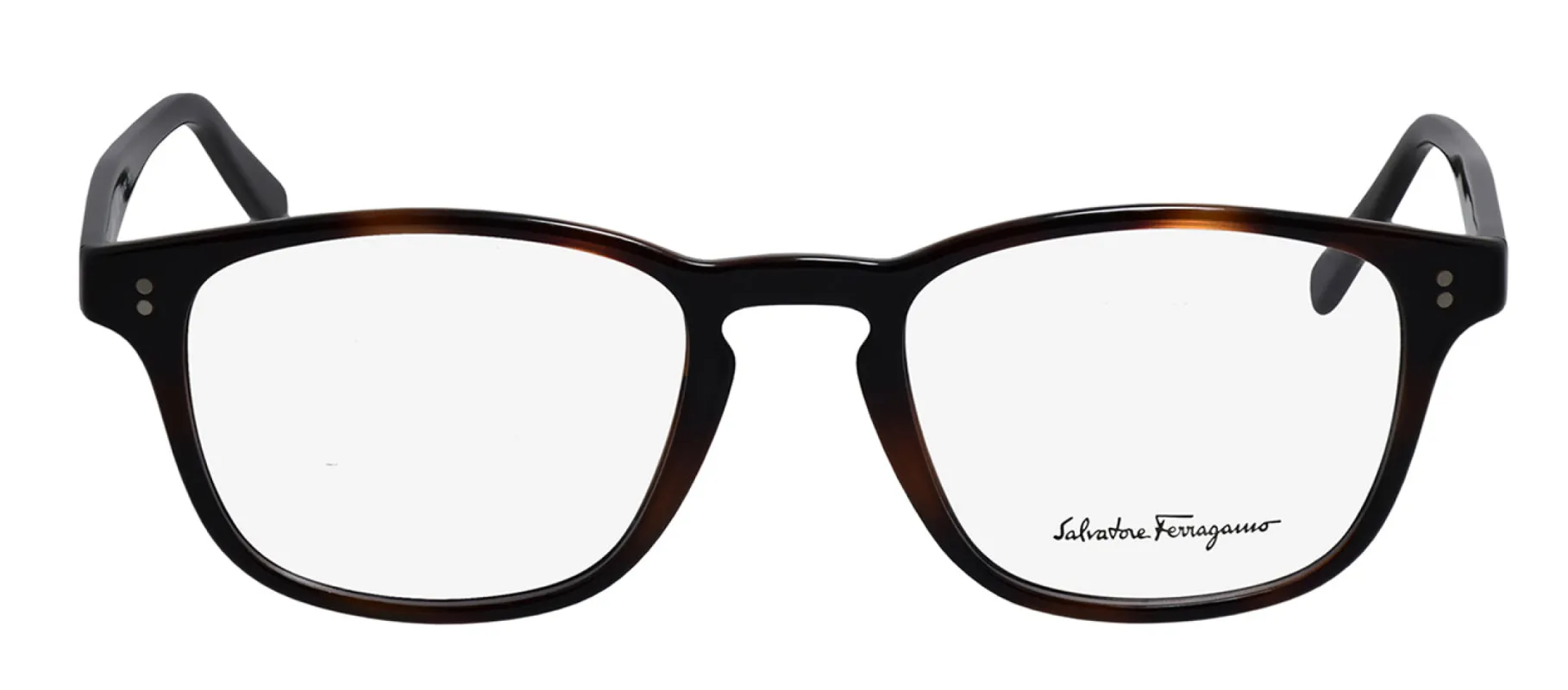 Salvatore Ferragamo SF 2913 241 Square Plastic Tortoise/Black Eyeglasses with Logo Stamped Demo Lenses made by Salvatore Ferragamo