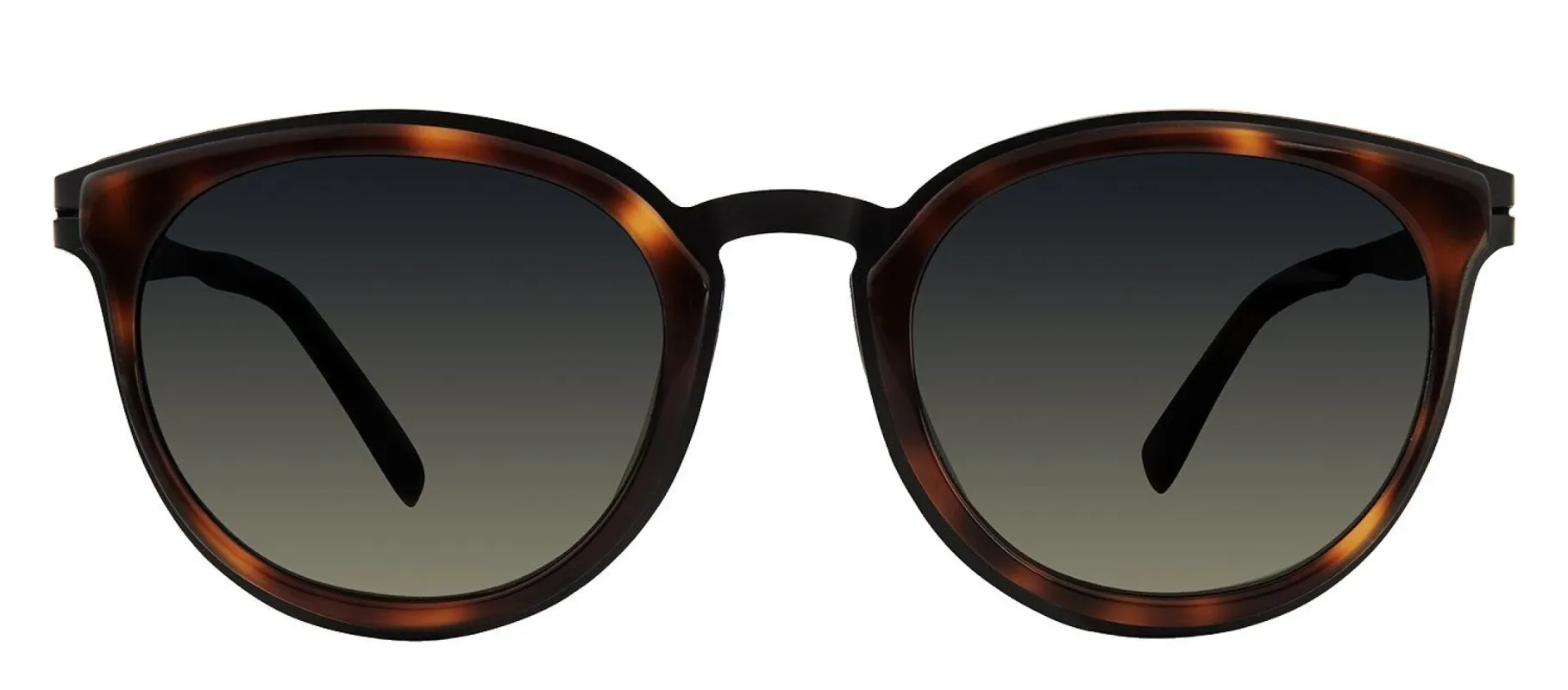 Modo MODO 453 TORT Rectangle Plastic Tortoise Sunglasses with Grey Gradient Lens made by Gaffos