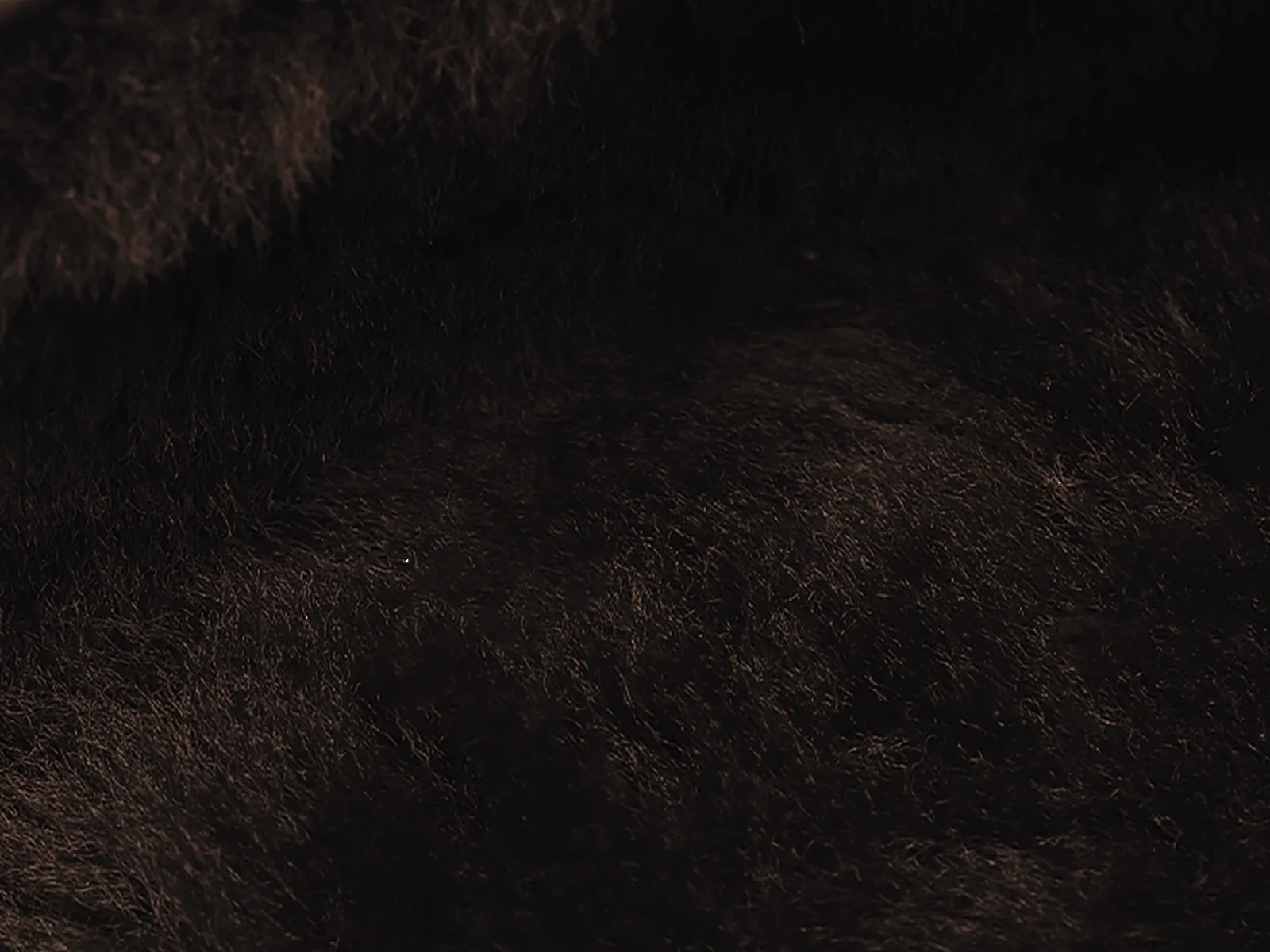 Stride Penny Loafers in Dark Brown Moorland Calf with Shearling Lining sold by Baudoin & Lange product image thumbnail 2