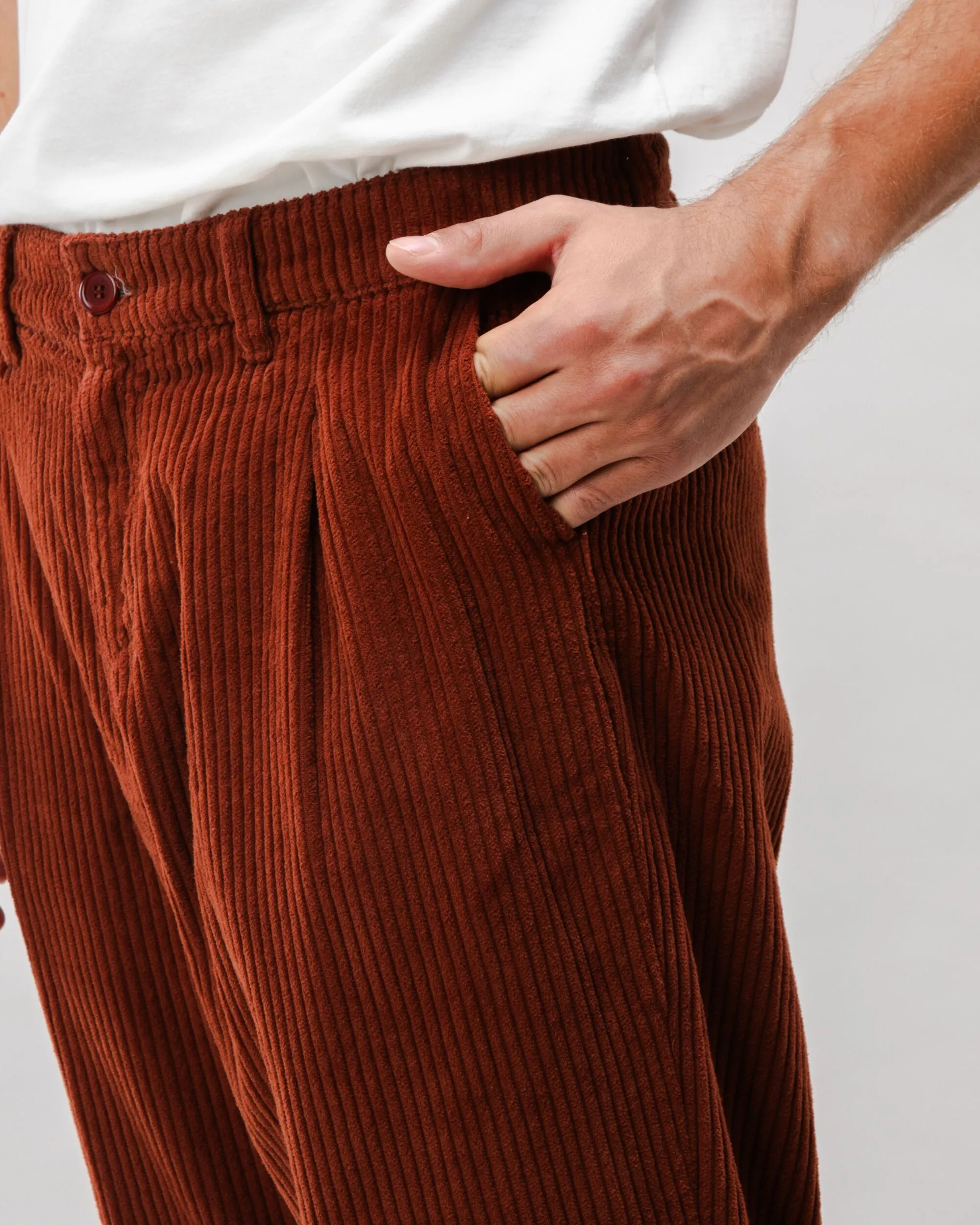 Corduroy Pleated Chino Pants Copper sold by Brava Fabrics product image thumbnail 3