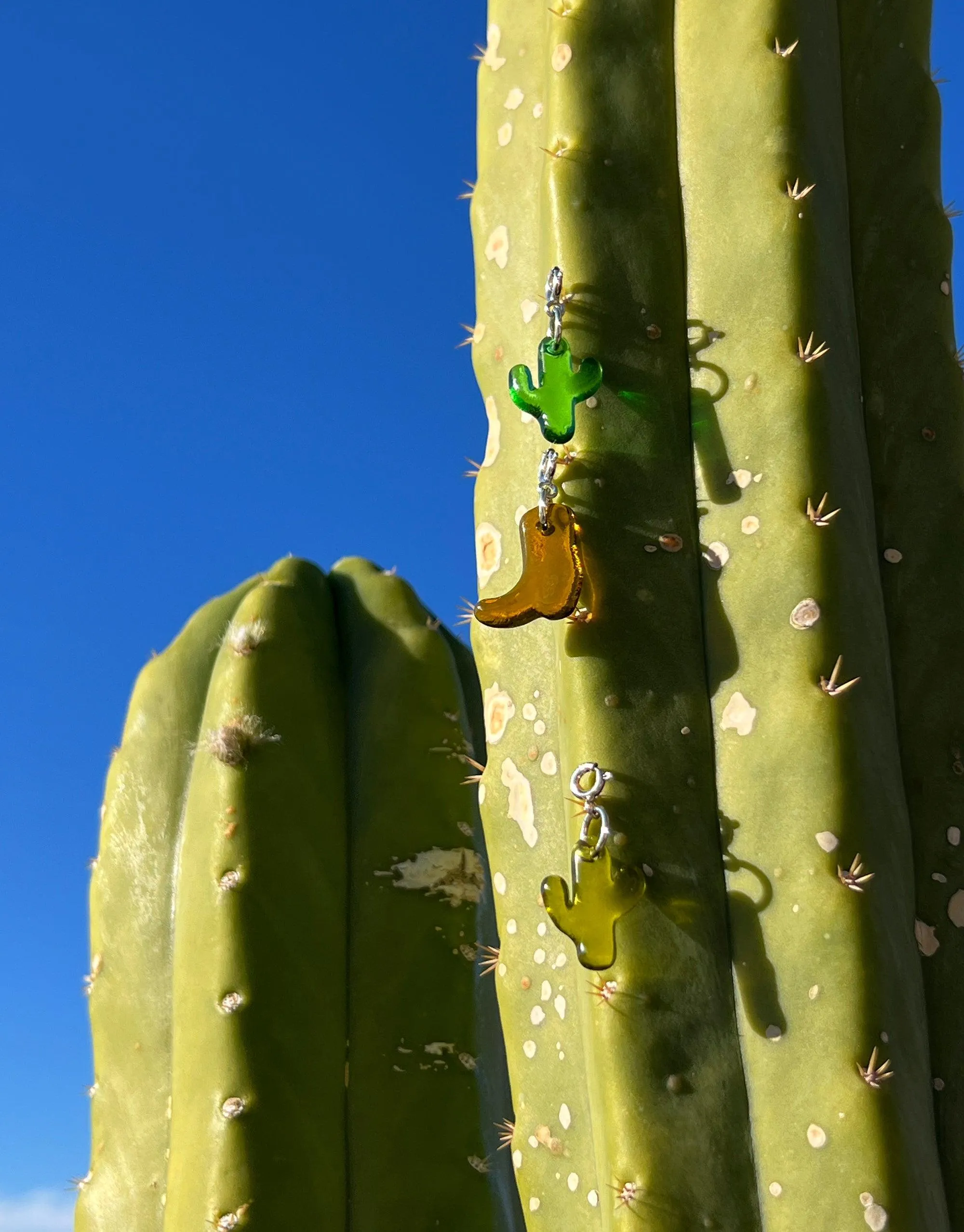 Cactus | Icon Charm sold by CLED product image thumbnail 3