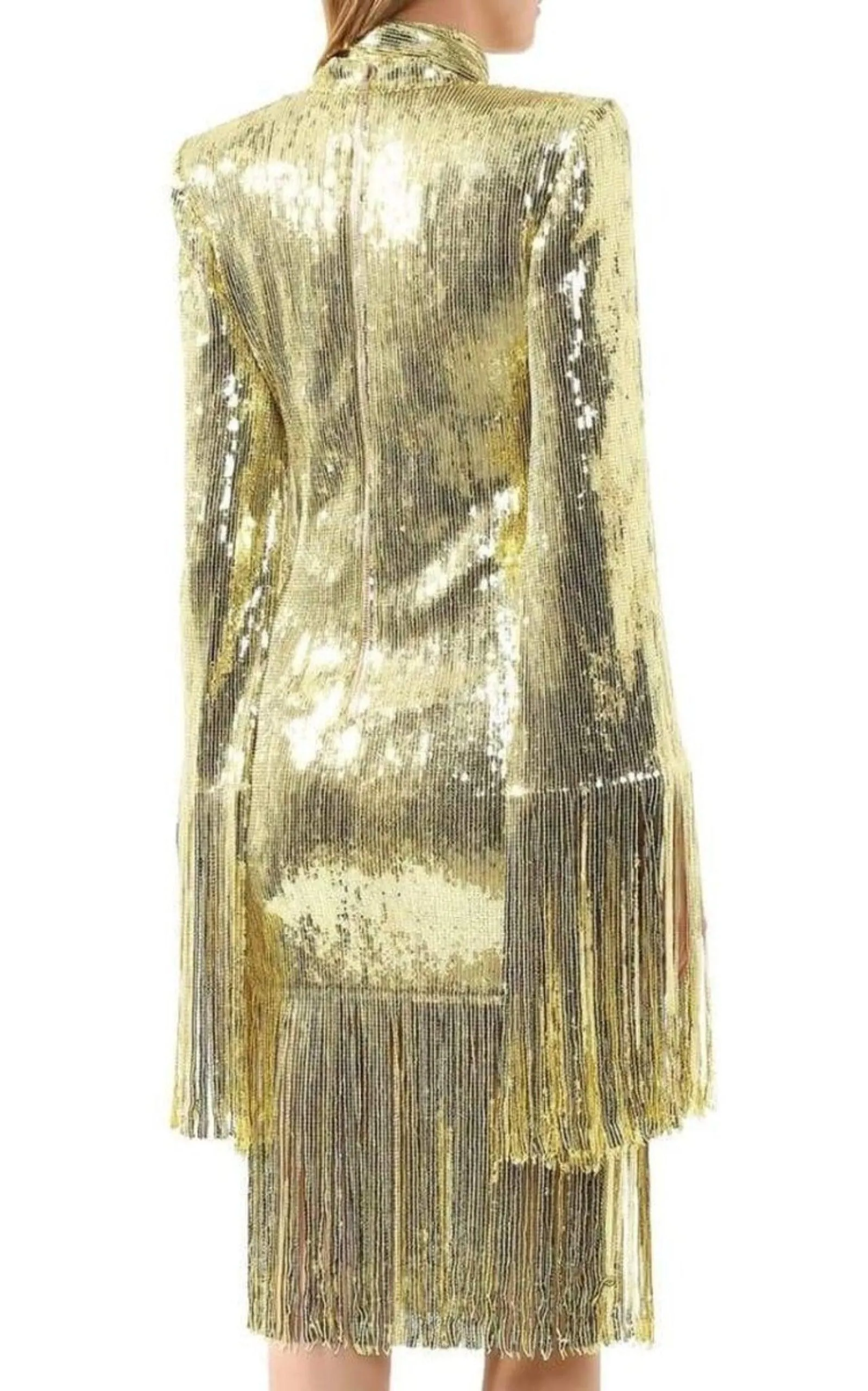 Fringed Gold Sequined Midi Dress sold by Runaway Catalog product image thumbnail 4