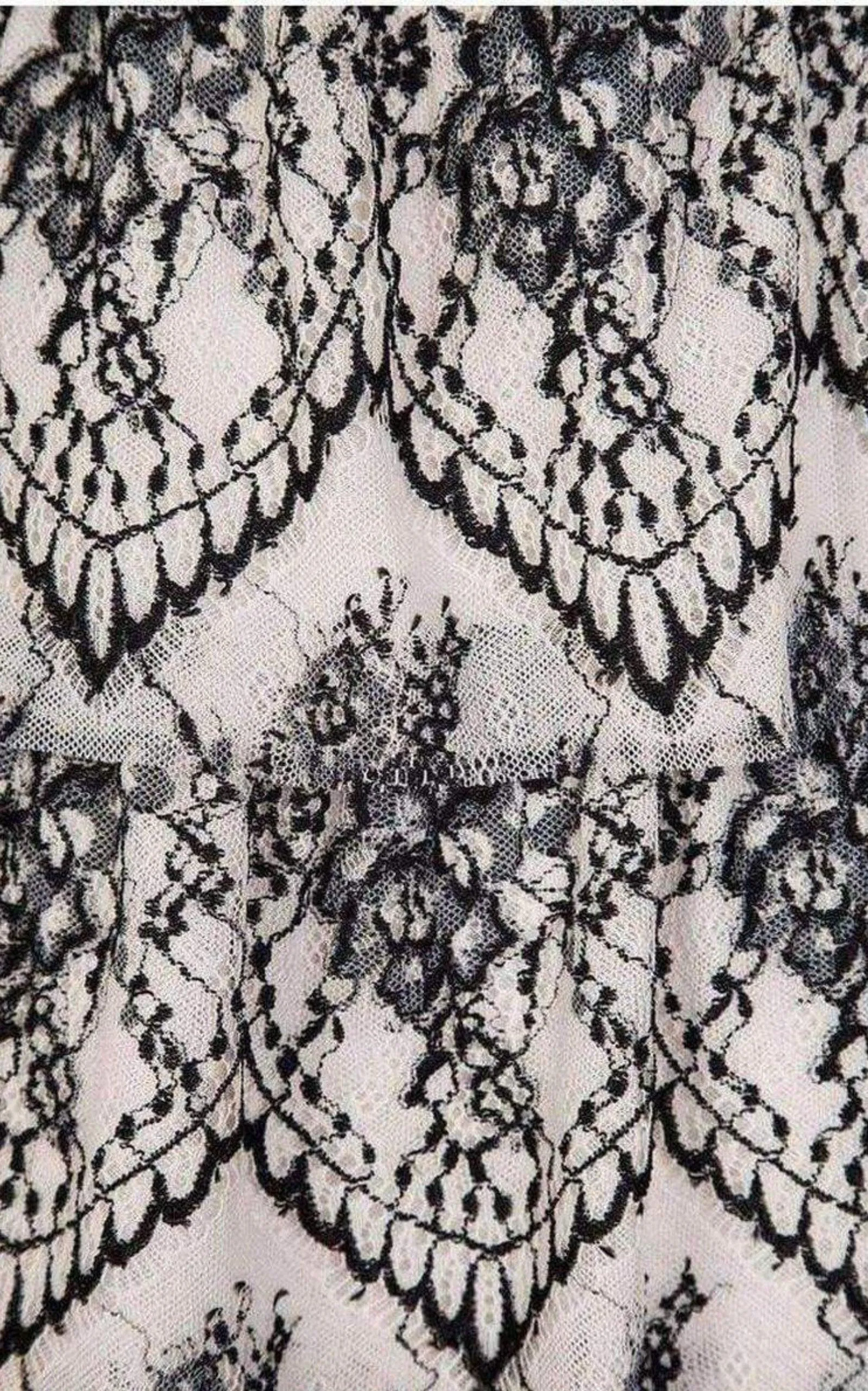 Sleeveless Scalloped Lace Dress sold by Runaway Catalog product image thumbnail 5