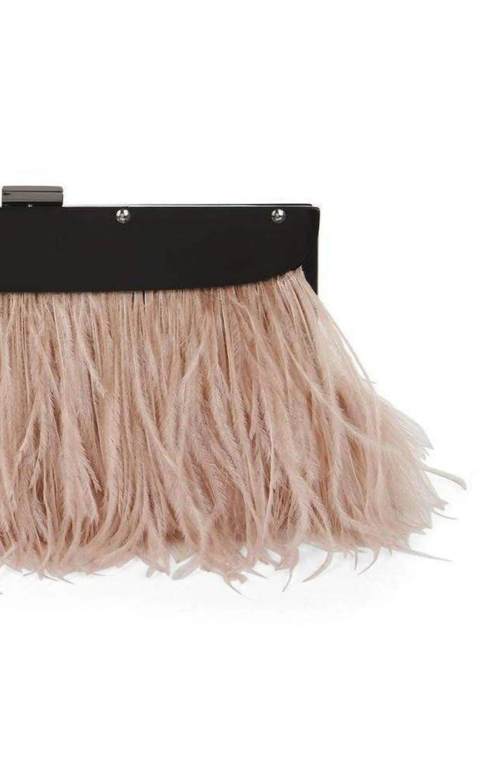 Portia Feather-Trim Lucite Clutch sold by Runaway Catalog product image thumbnail 3