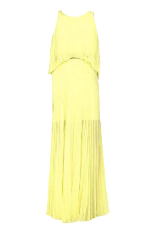 Shaina Citron Sleeveless Pleated Gown sold by Runaway Catalog