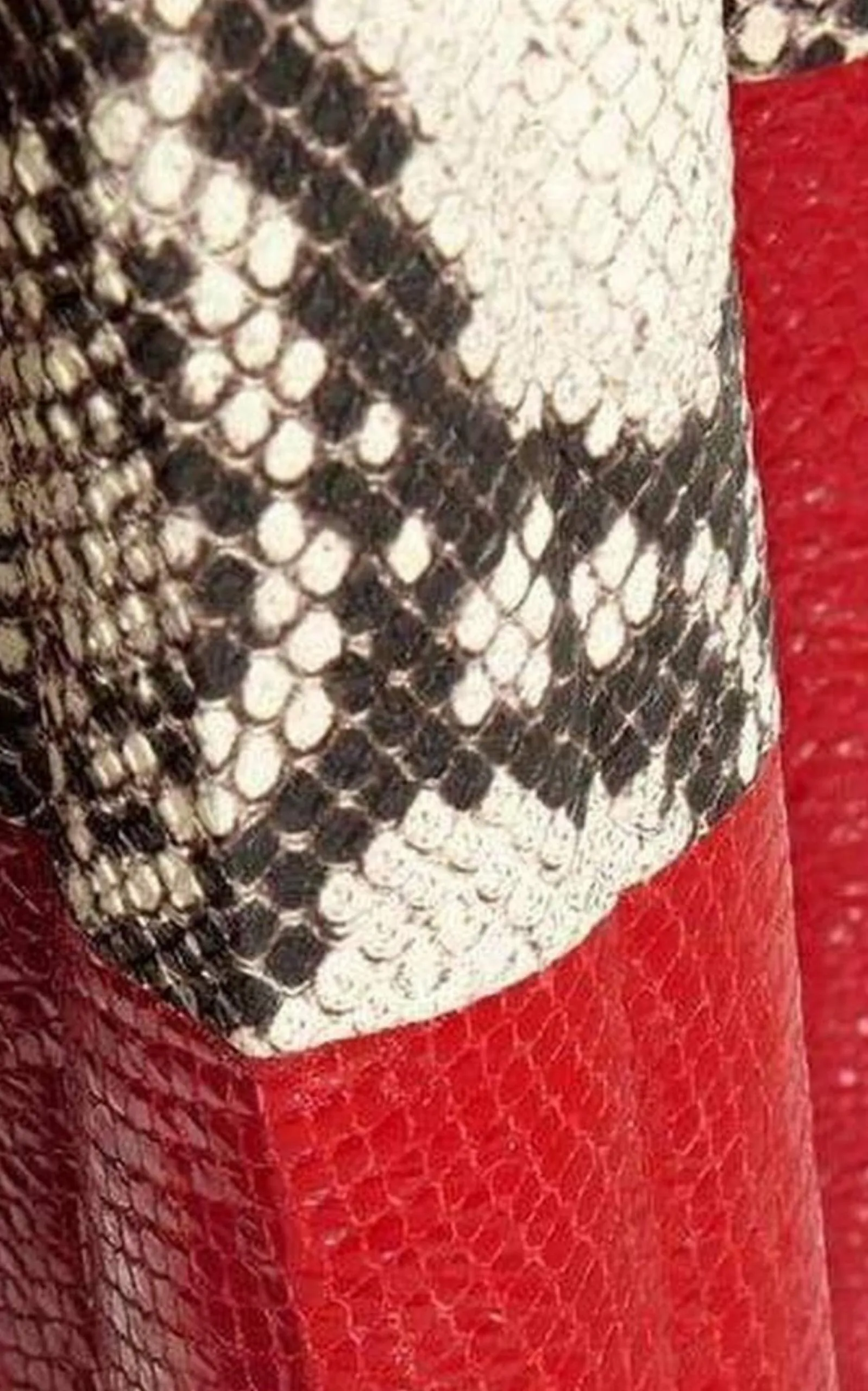 Pleated Snake-Effect Leather Skirt sold by Runaway Catalog product image thumbnail 5