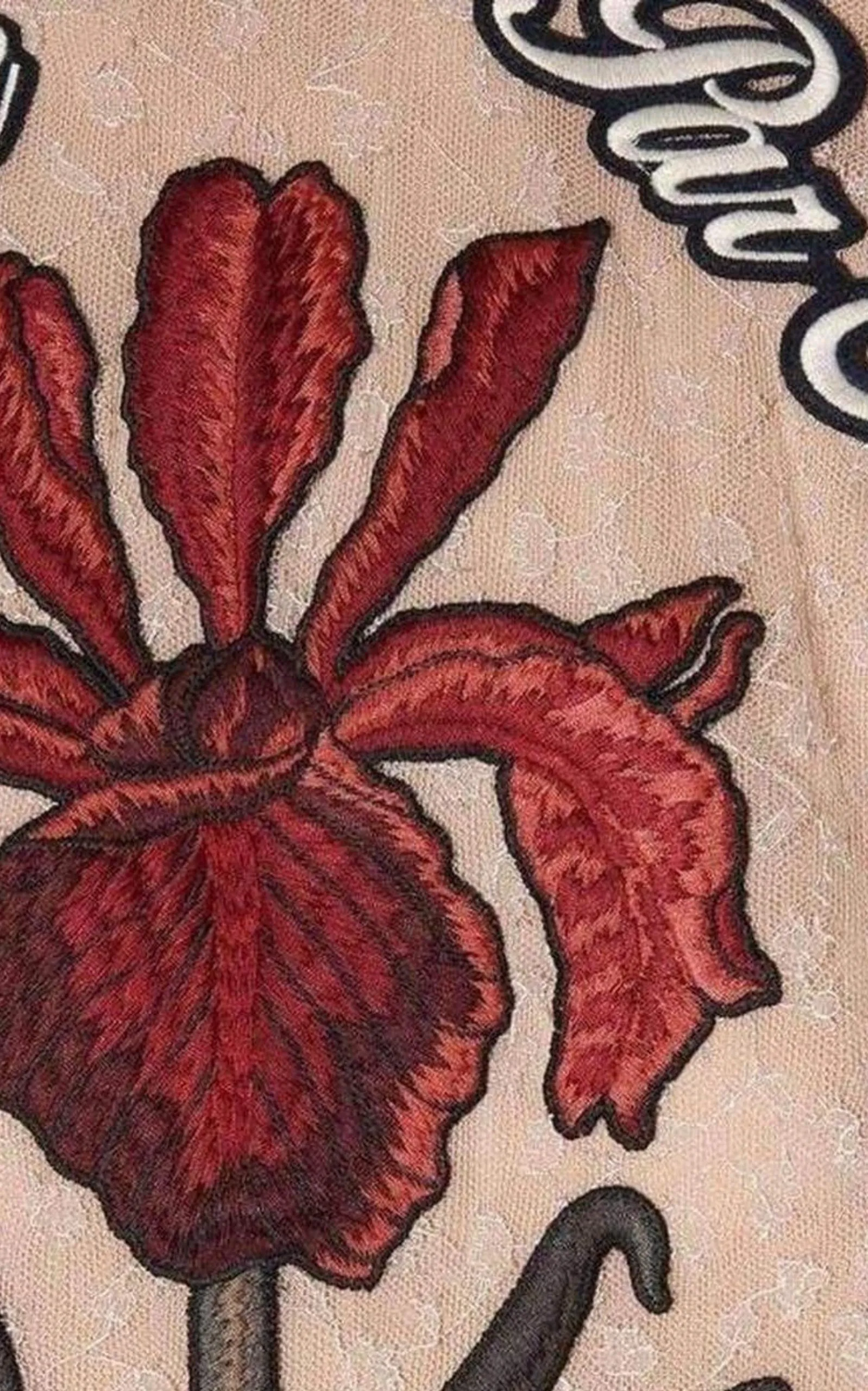 Nude Lace Embroidered Dress sold by Runaway Catalog product image thumbnail 5