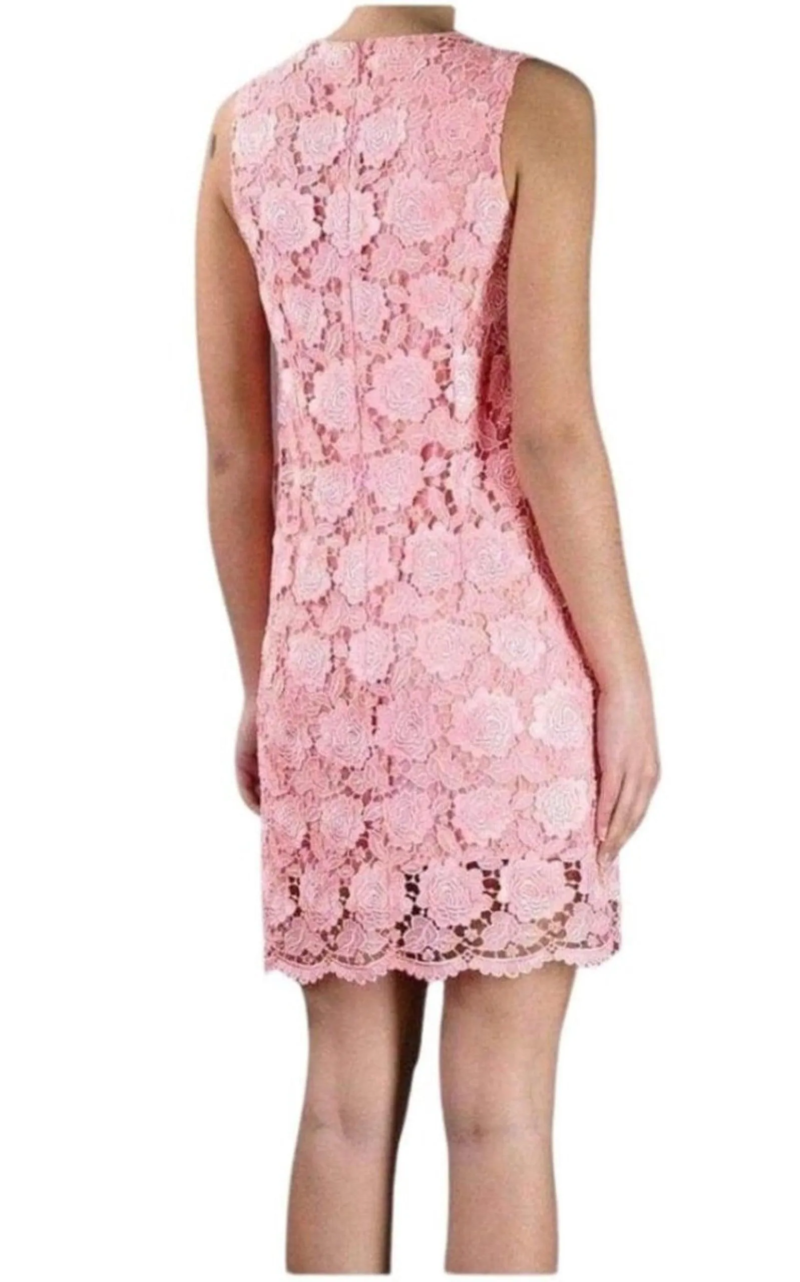 Coral Lace Overlay Dress sold by Runaway Catalog product image thumbnail 3