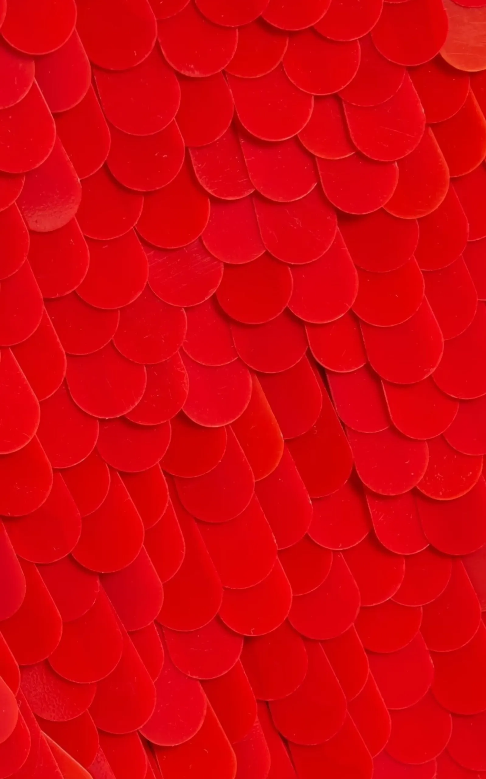 Sequinned Tulle Midi Skirt sold by Runaway Catalog product image thumbnail 5