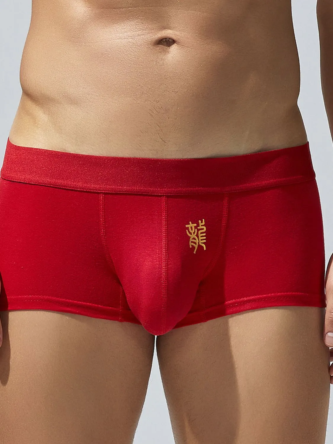 Men's Elastic Panty sold by Unique Kulture product image thumbnail 4
