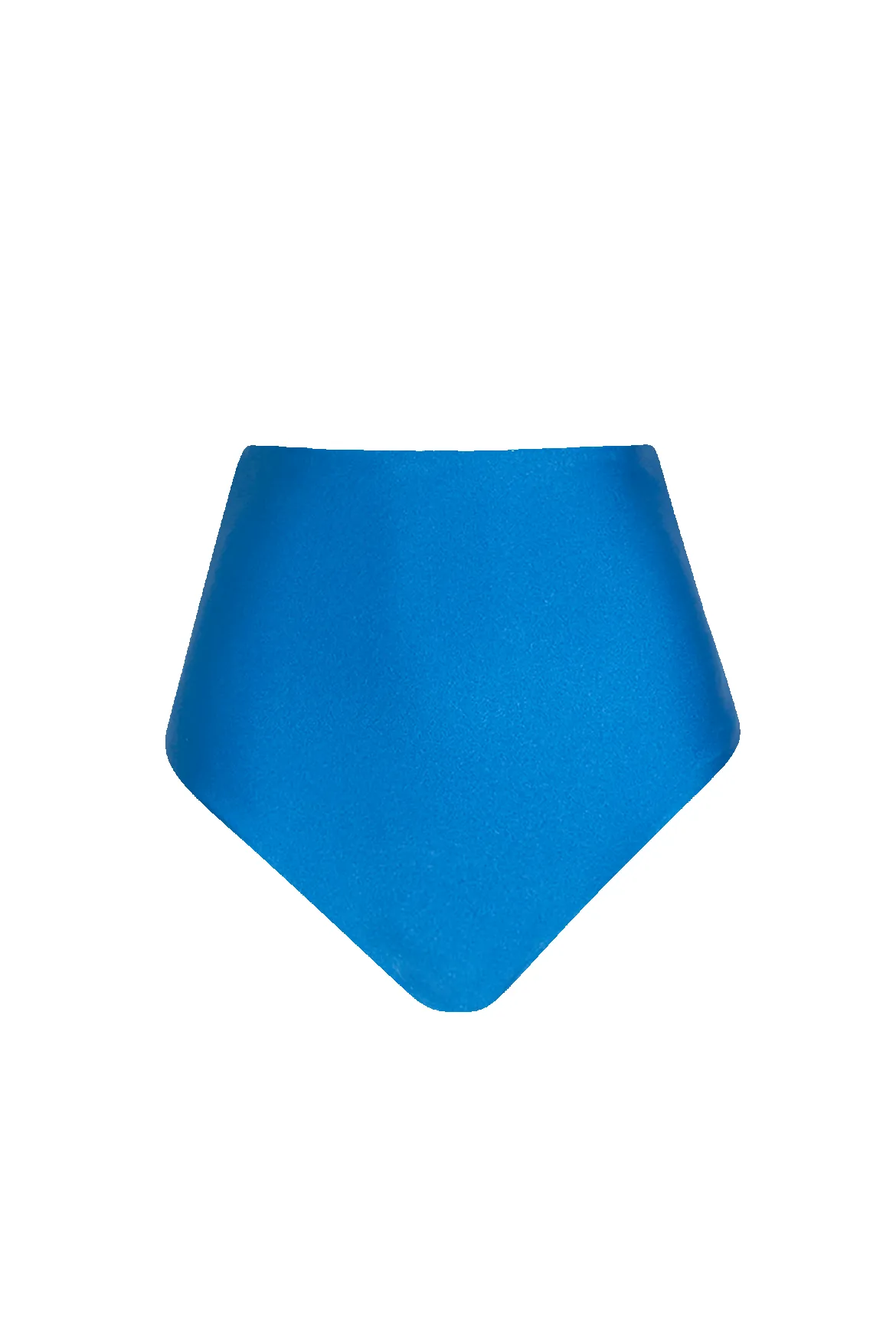 Cobalt High Brief sold by HANNE BLOCH