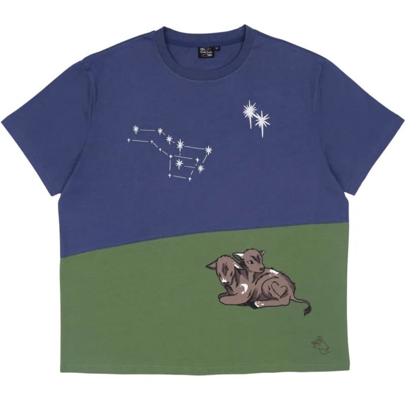 Twice As Many Stars Tee sold by Steady Hands