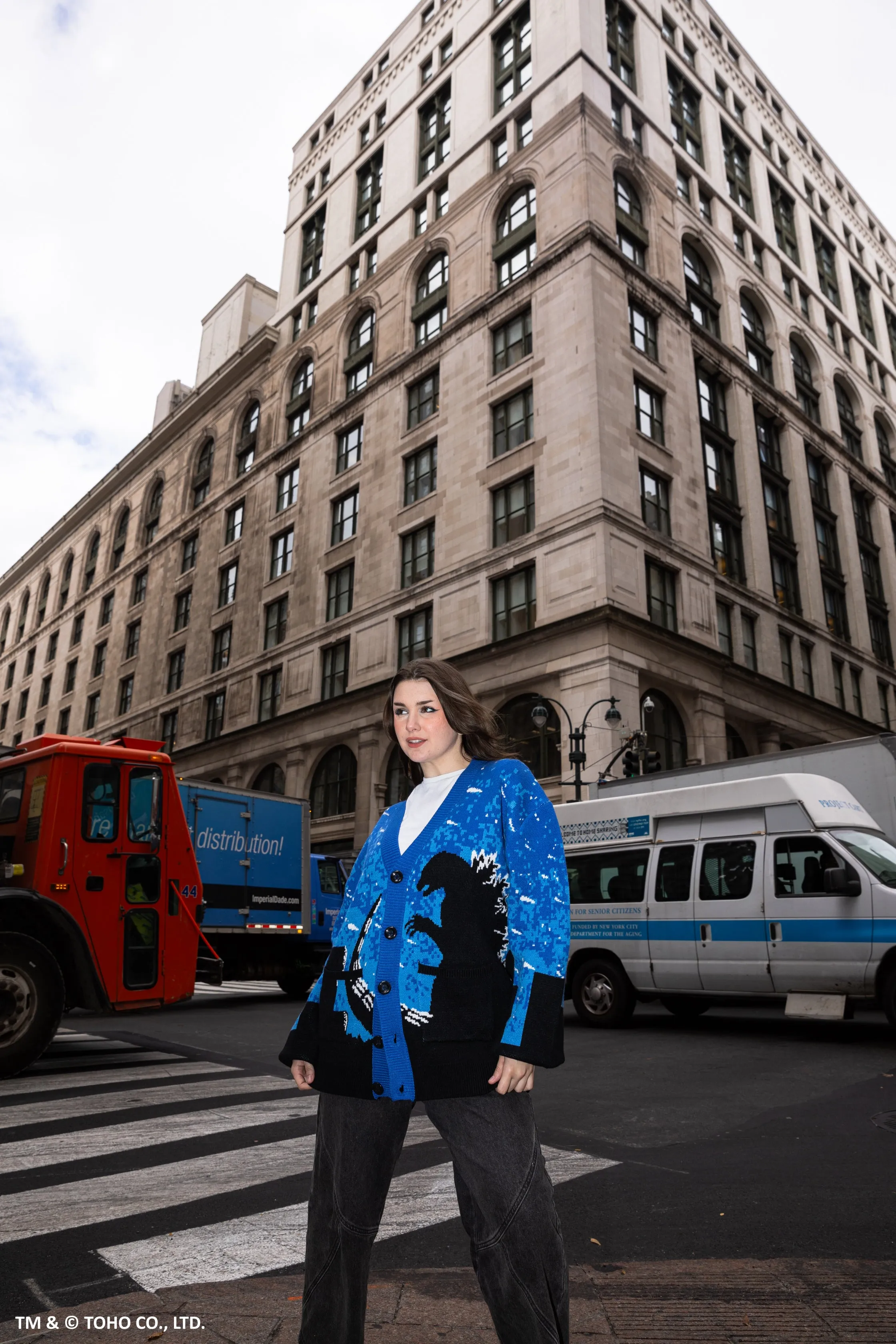 Godzilla Silhouette Cardigan sold by Steady Hands product image thumbnail 3