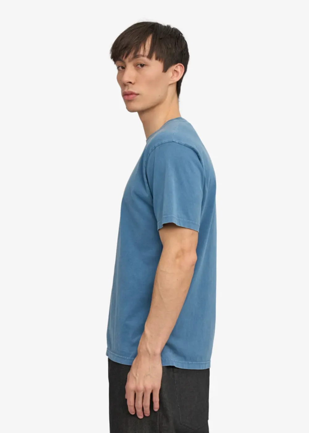 Classic Organic Tee sold by Danali product image thumbnail 2