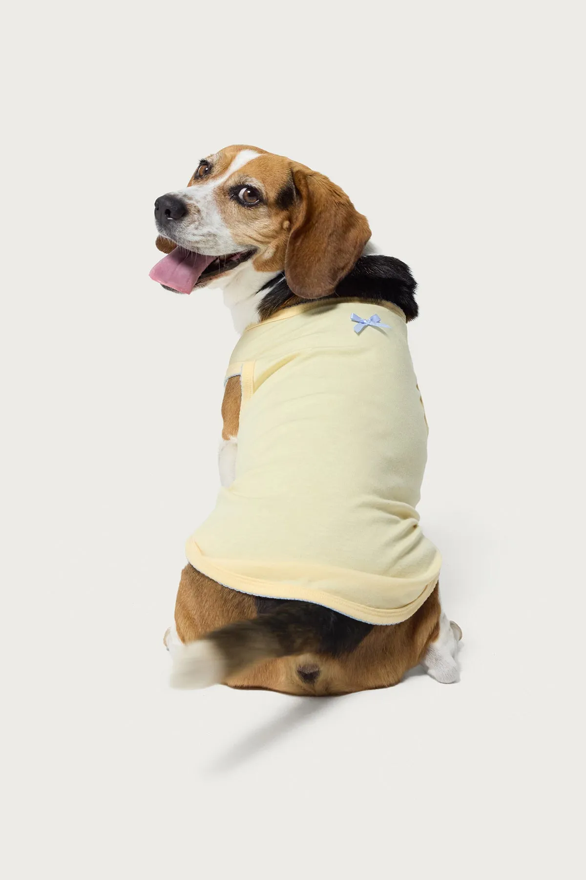 Pawfect Pet Tank Top sold by Edikted product image thumbnail 2
