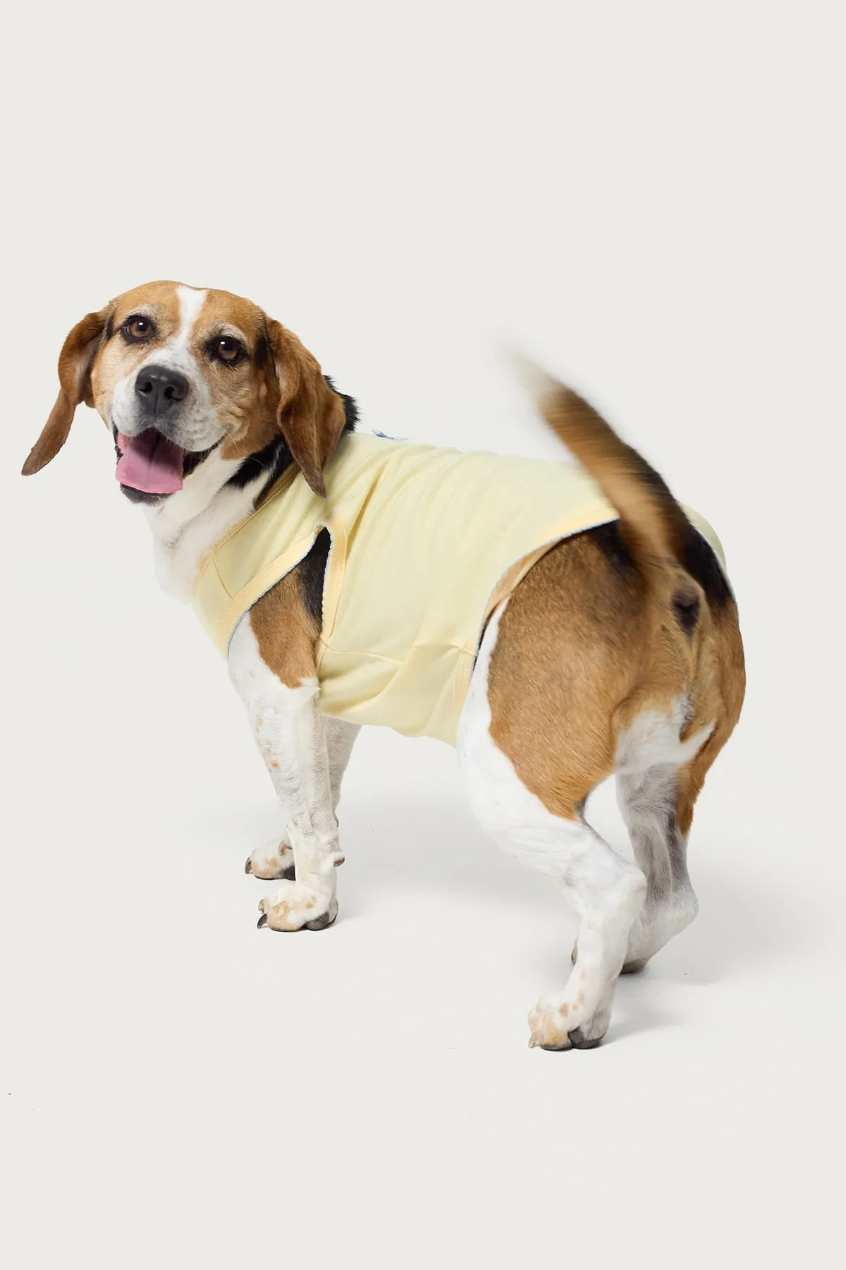 Pawfect Pet Tank Top sold by Edikted product image thumbnail 3