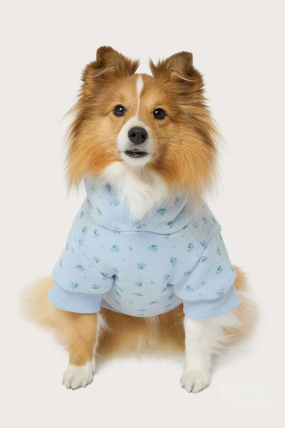 Flower Power Pet Hoodie sold by Edikted product image thumbnail 3