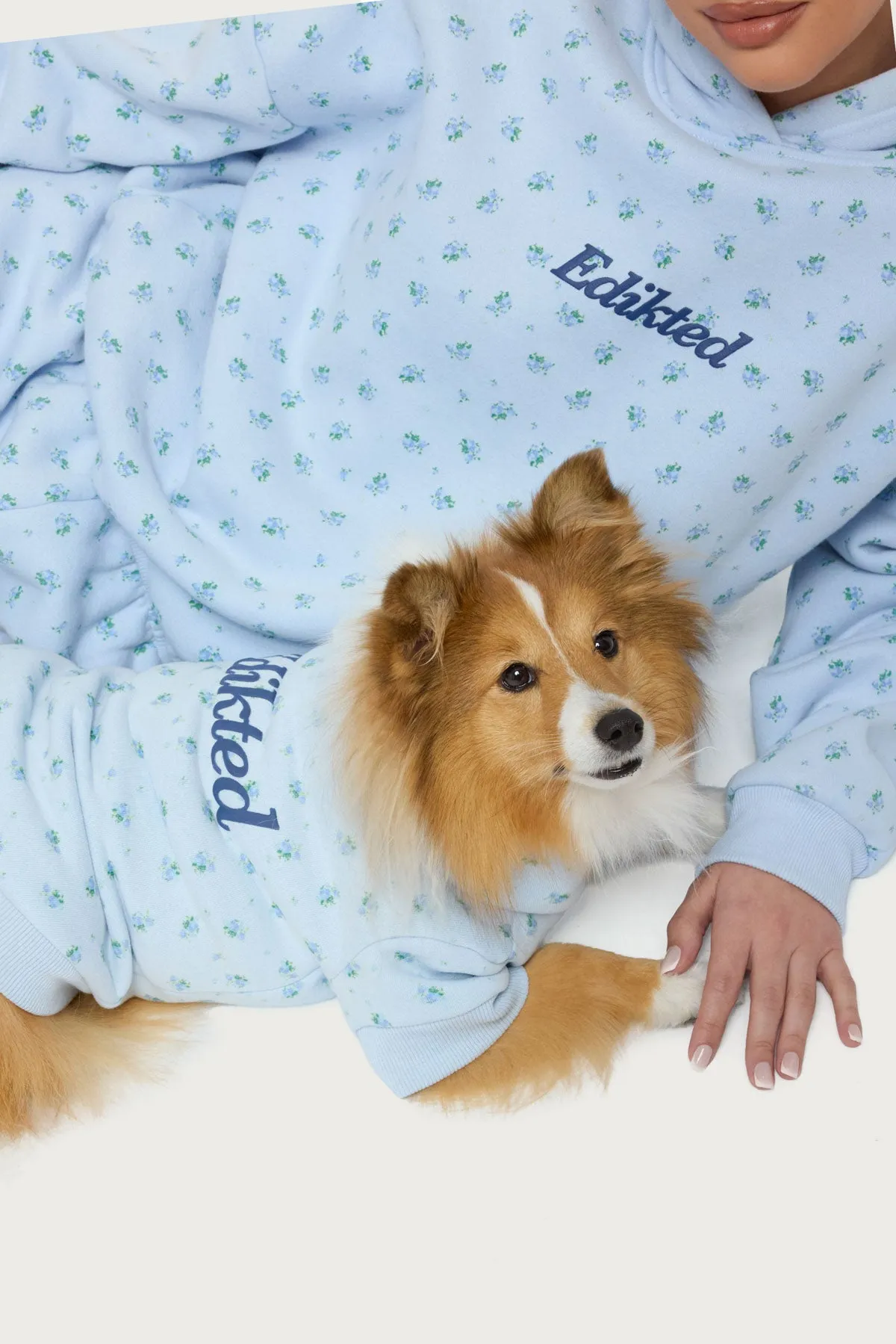 Flower Power Pet Hoodie sold by Edikted product image thumbnail 4