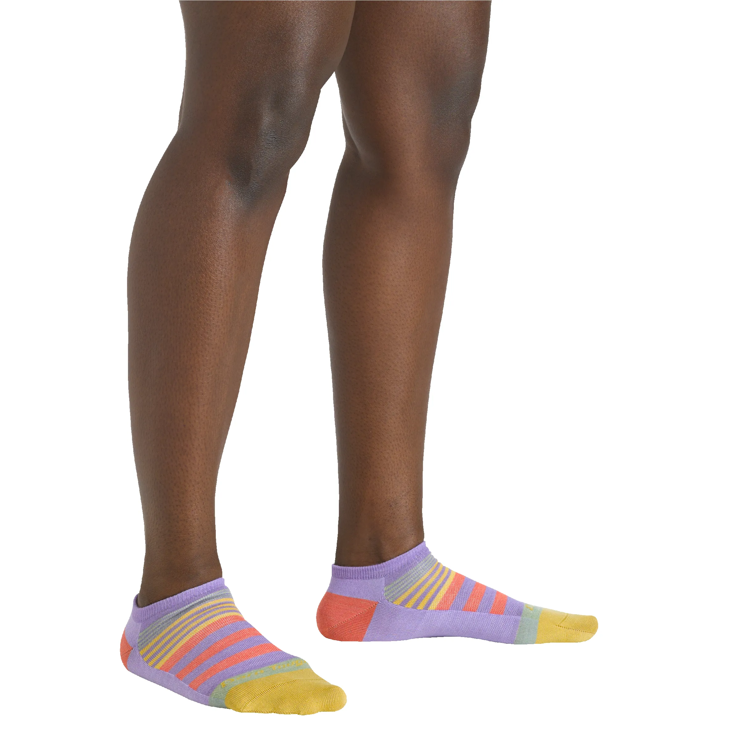 Women's Beachcomber No Show Lightweight Lifestyle Sock sold by Darn Tough Vermont product image thumbnail 4
