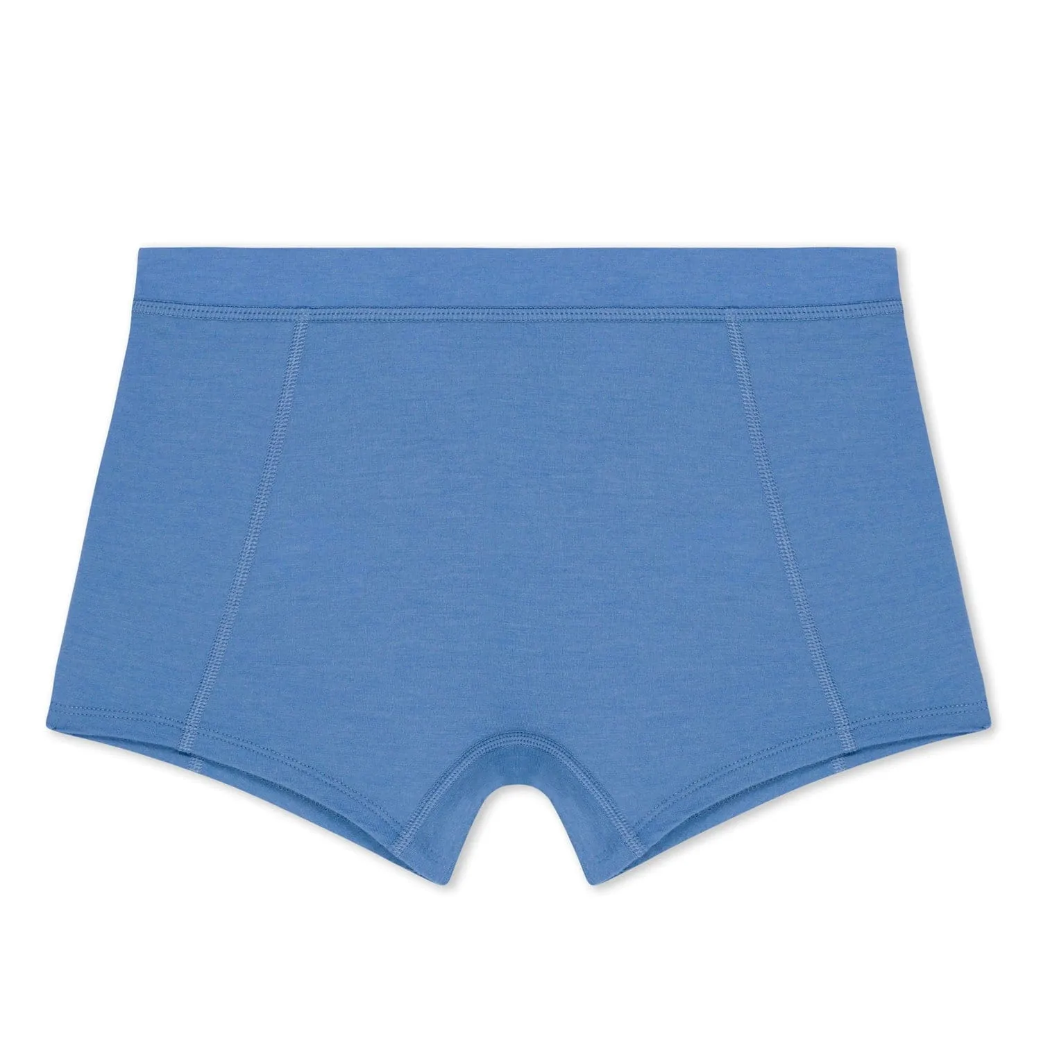 CLEARANCE Women's Ridge Merino Wool Boy Short Underwear (XL) sold by Ridge Merino