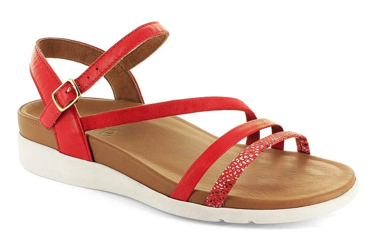 Anguila sold by The Walking Company