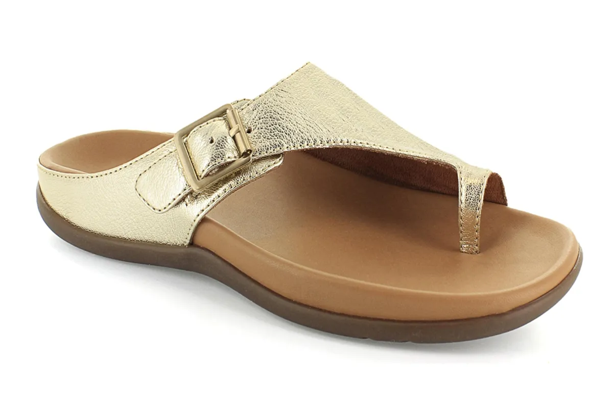 Java II sold by The Walking Company