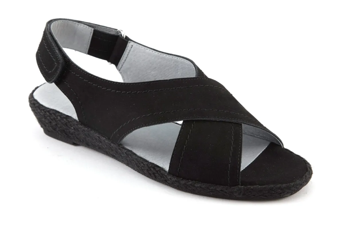 Moon sold by The Walking Company