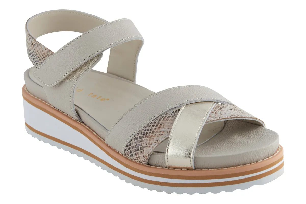 Echo sold by The Walking Company