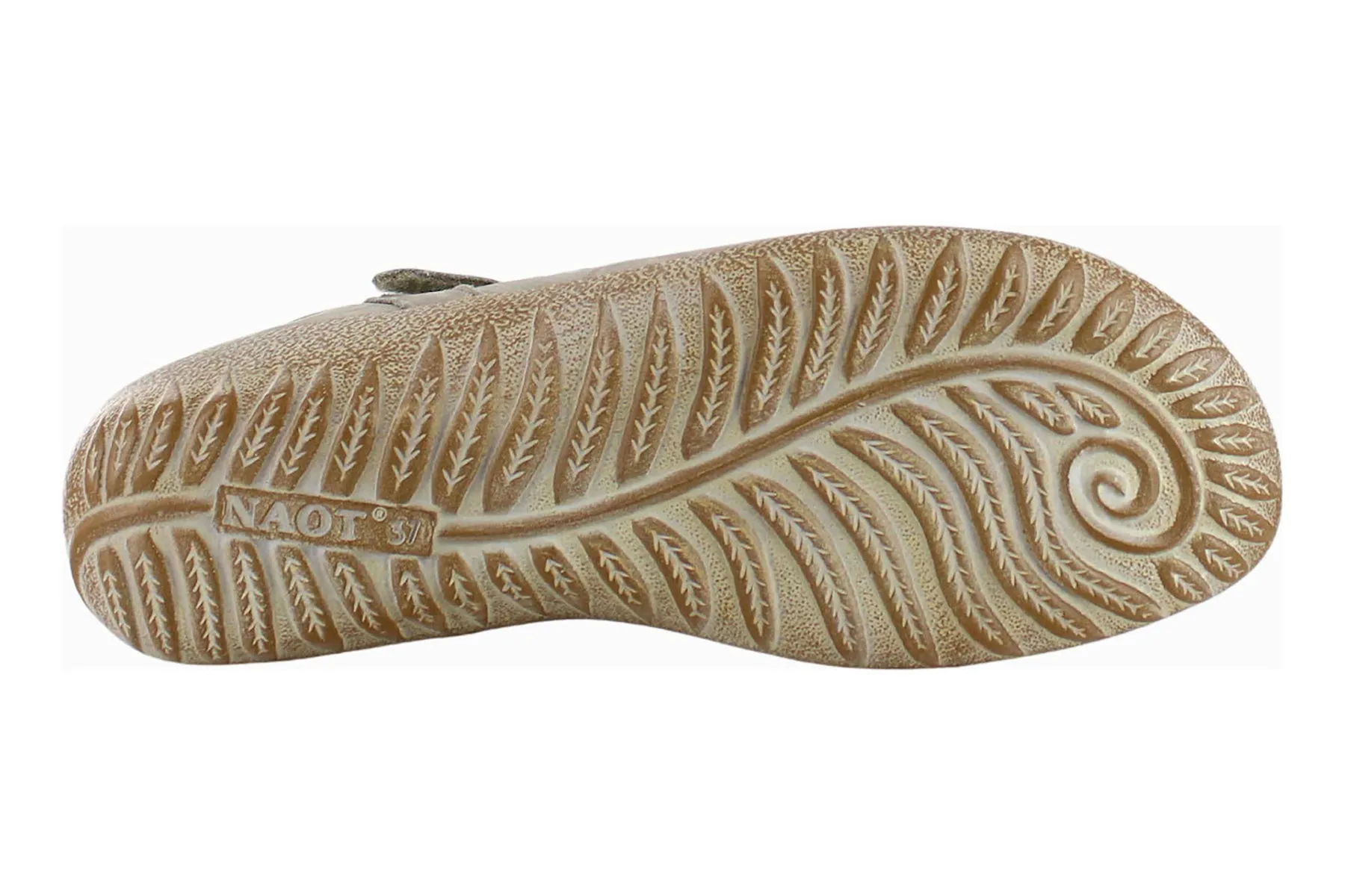 Agathis sold by The Walking Company product image thumbnail 3