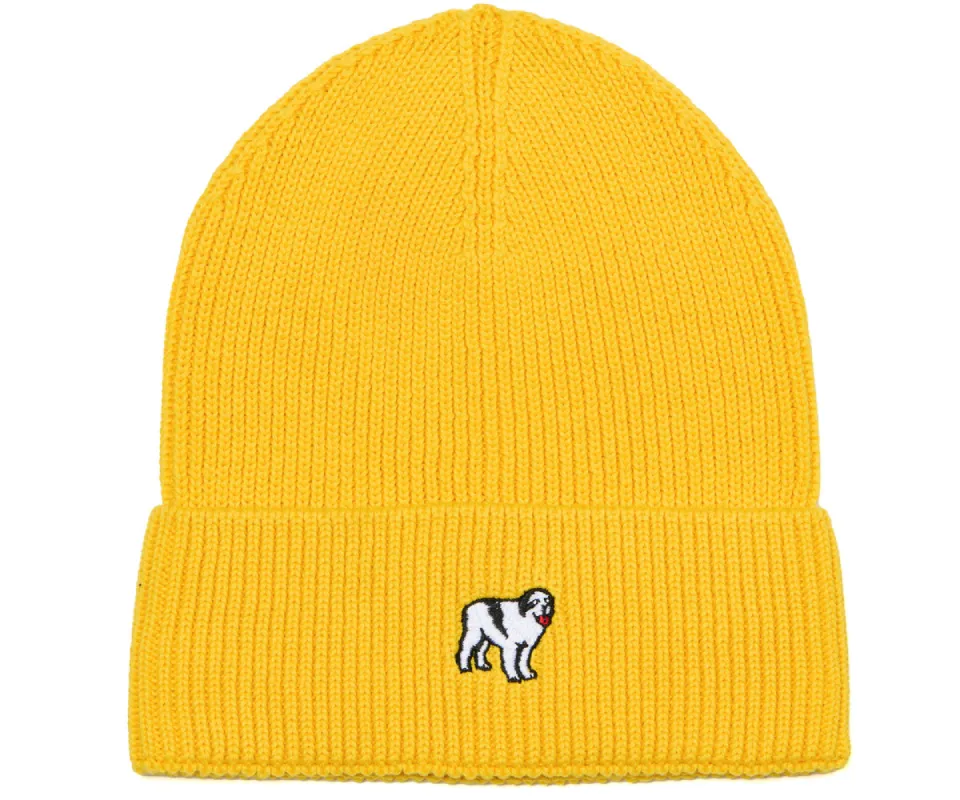 Icon Beanie sold by The Walking Company