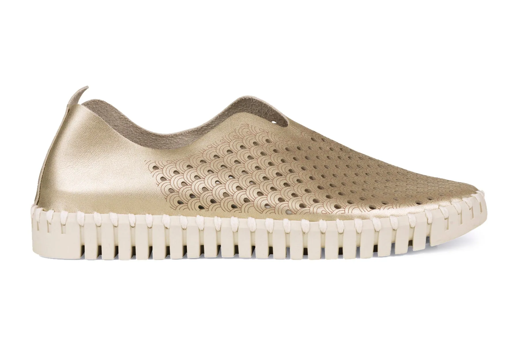 Tulip 3576 sold by The Walking Company