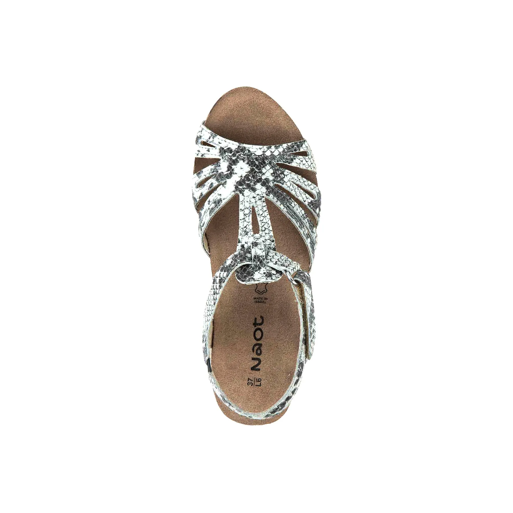 Starlet sold by The Walking Company product image thumbnail 2