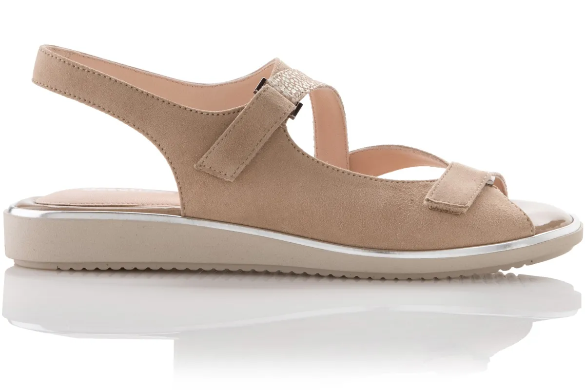 Robin sold by The Walking Company