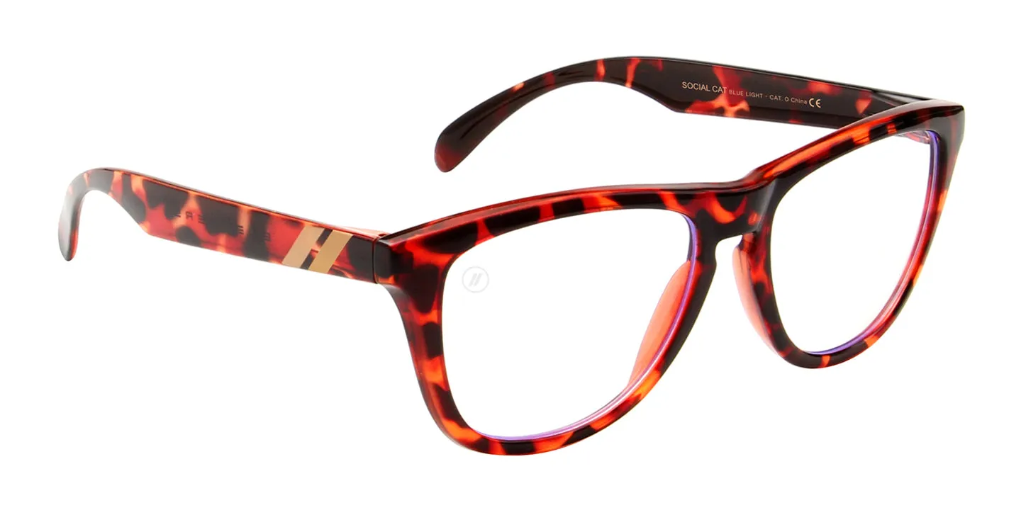 Social Cat sold by Blenders Eyewear product image thumbnail 4