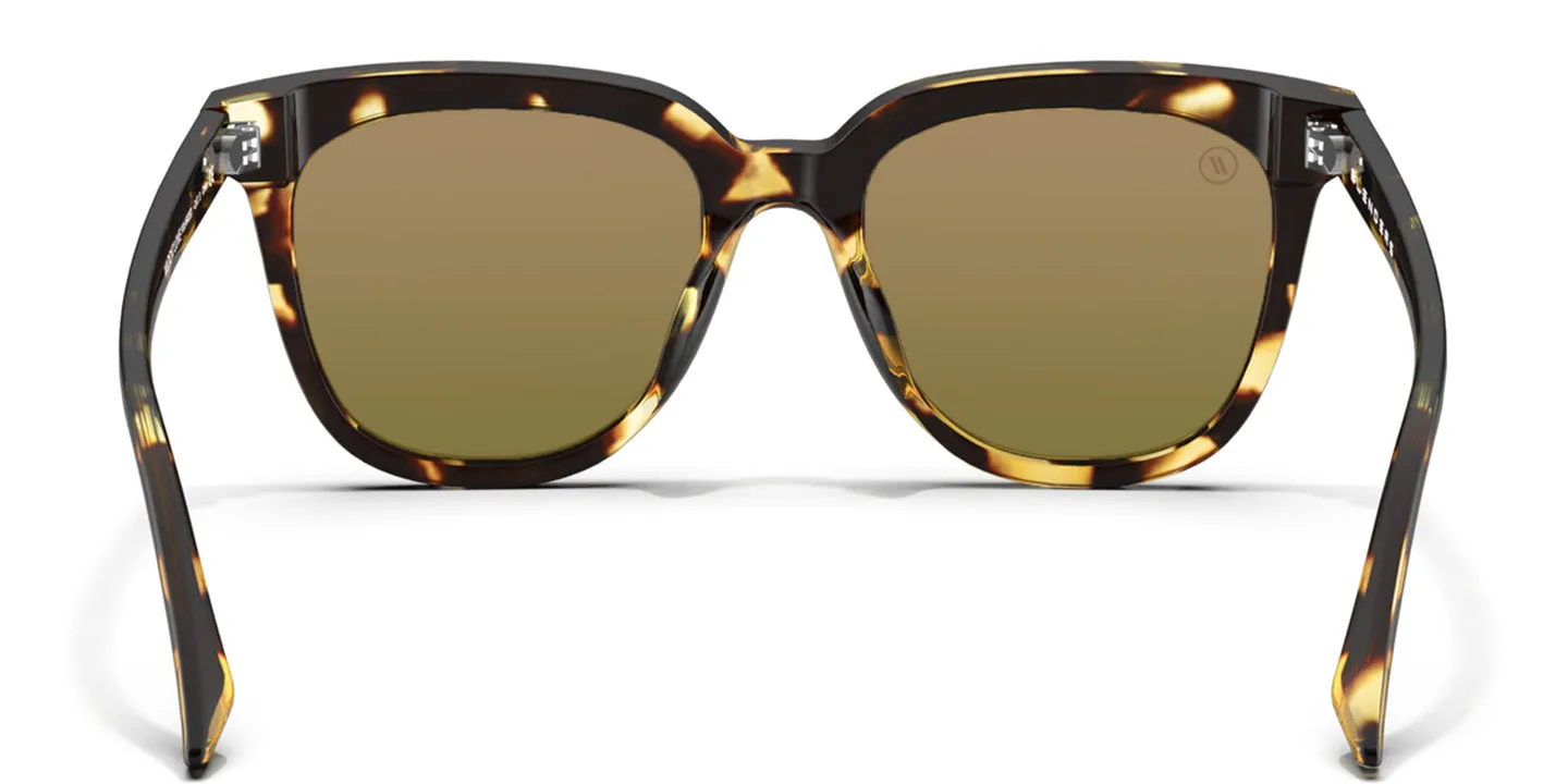 Wildcat Love sold by Blenders Eyewear product image thumbnail 5