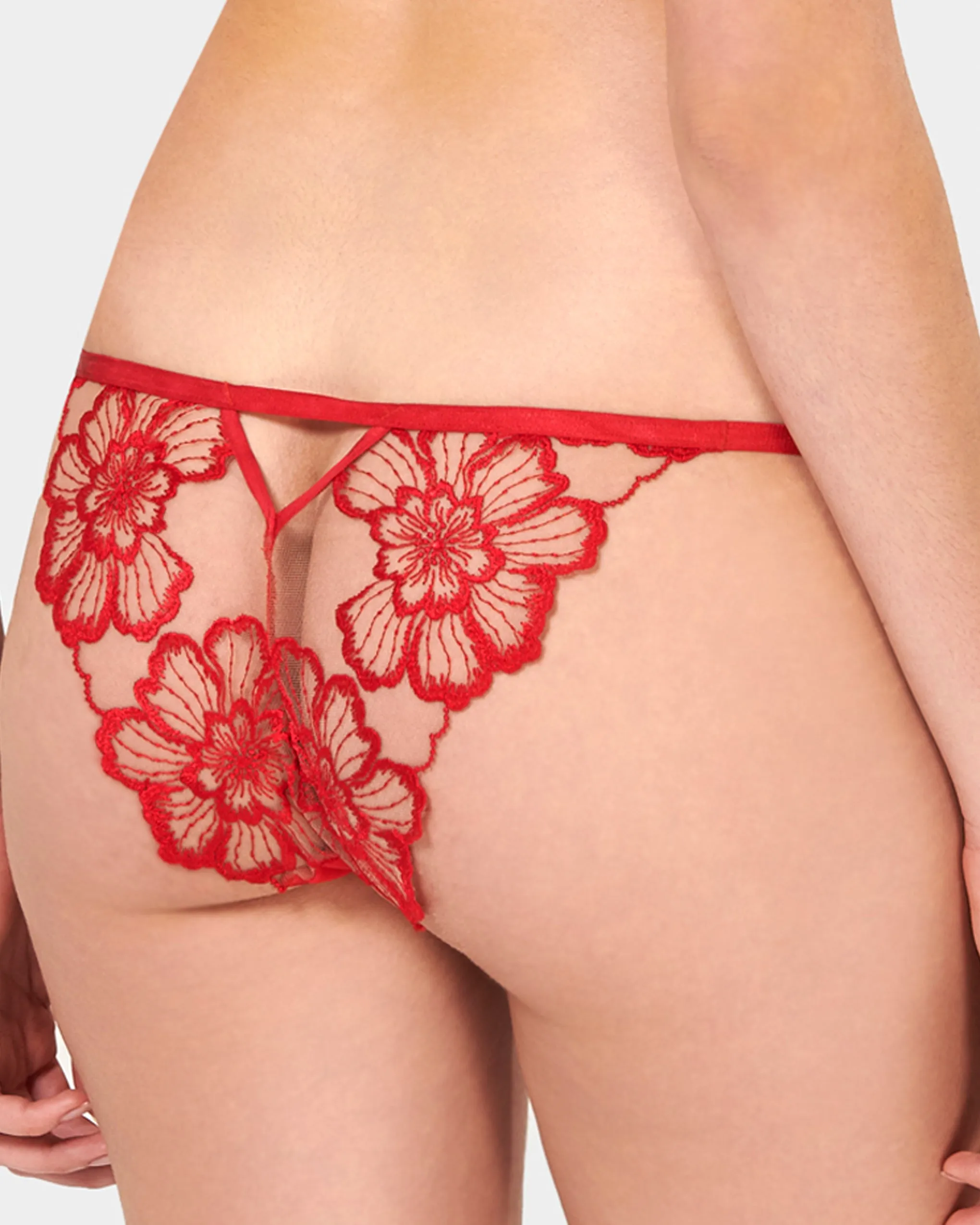 Catalina Brief Red/Sheer sold by Bluebella product image thumbnail 3
