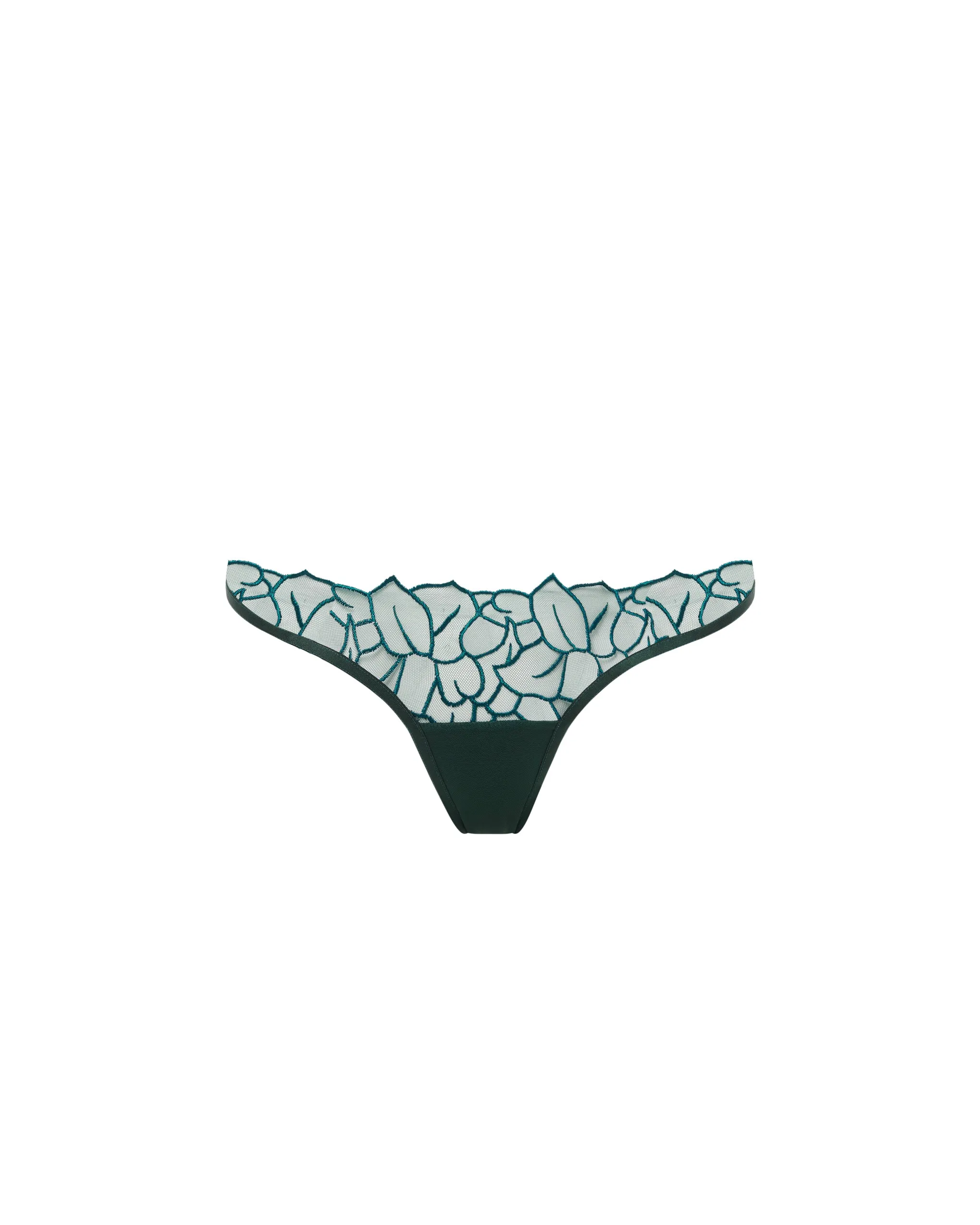 Laurel Brief Botanical Garden Green sold by Bluebella product image thumbnail 5