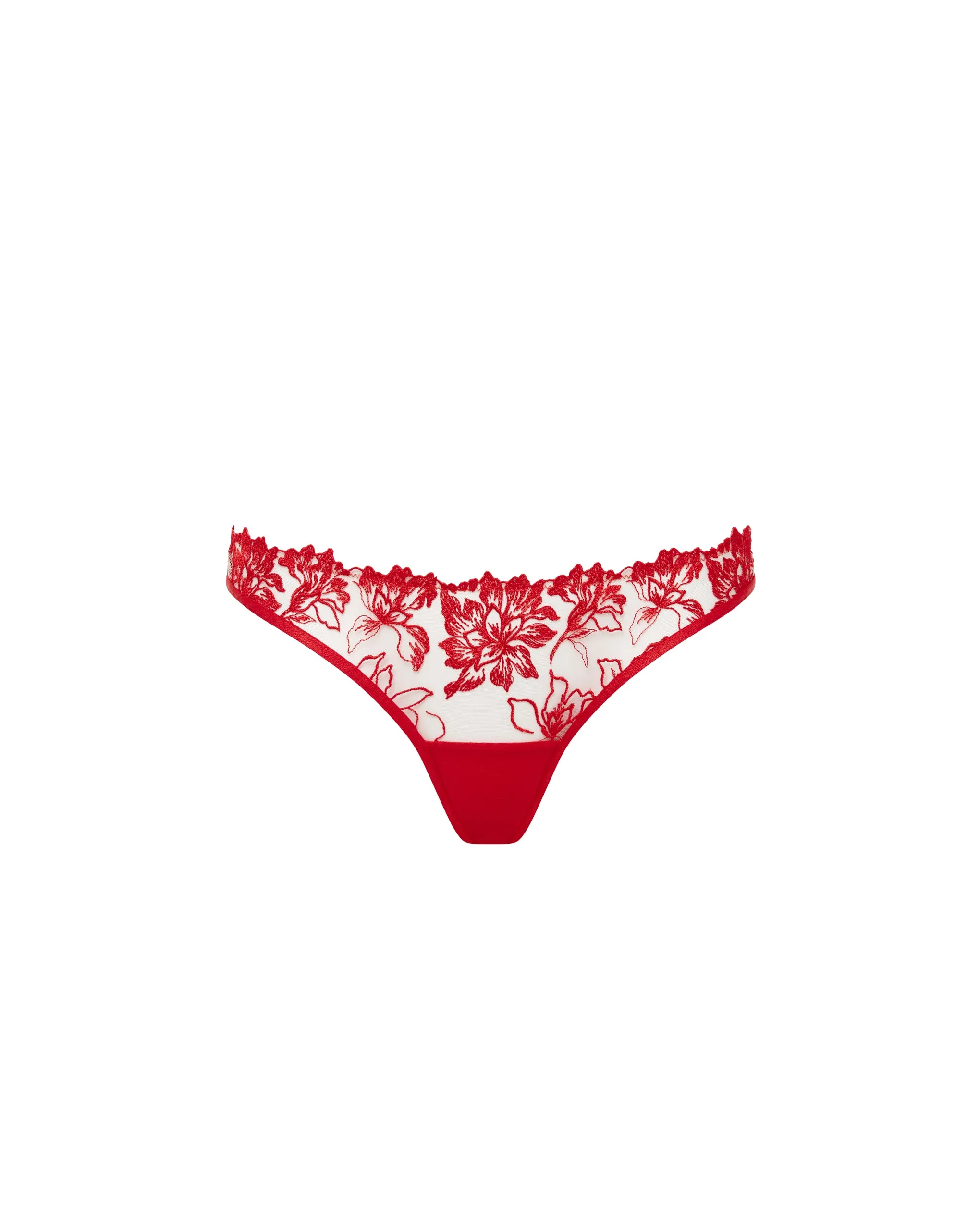 Samara Brief Red/Sheer sold by Bluebella product image thumbnail 5
