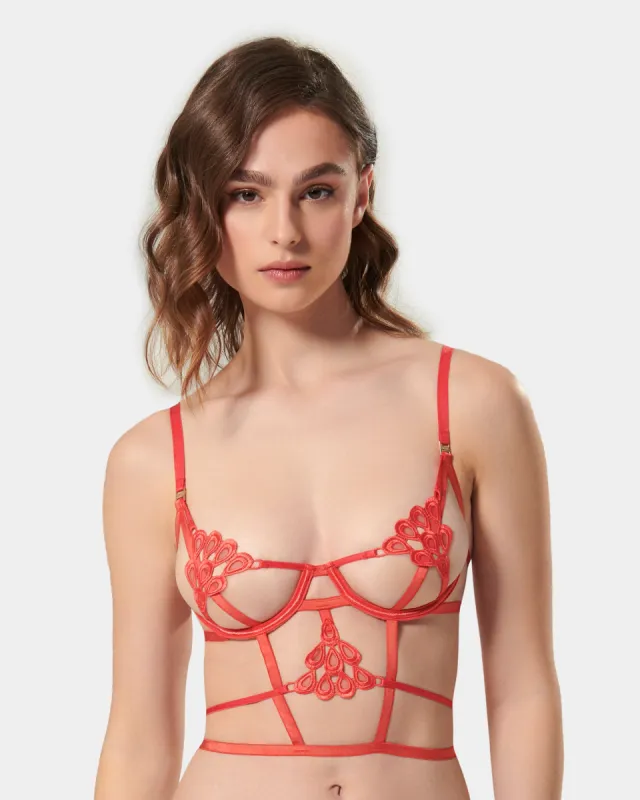 Aria Bra Cayenne Red sold by Bluebella