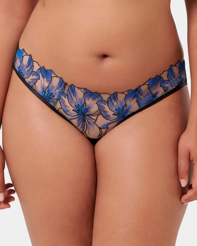 Lyandra Brief Egyptian Blue/Black/Sheer sold by Bluebella