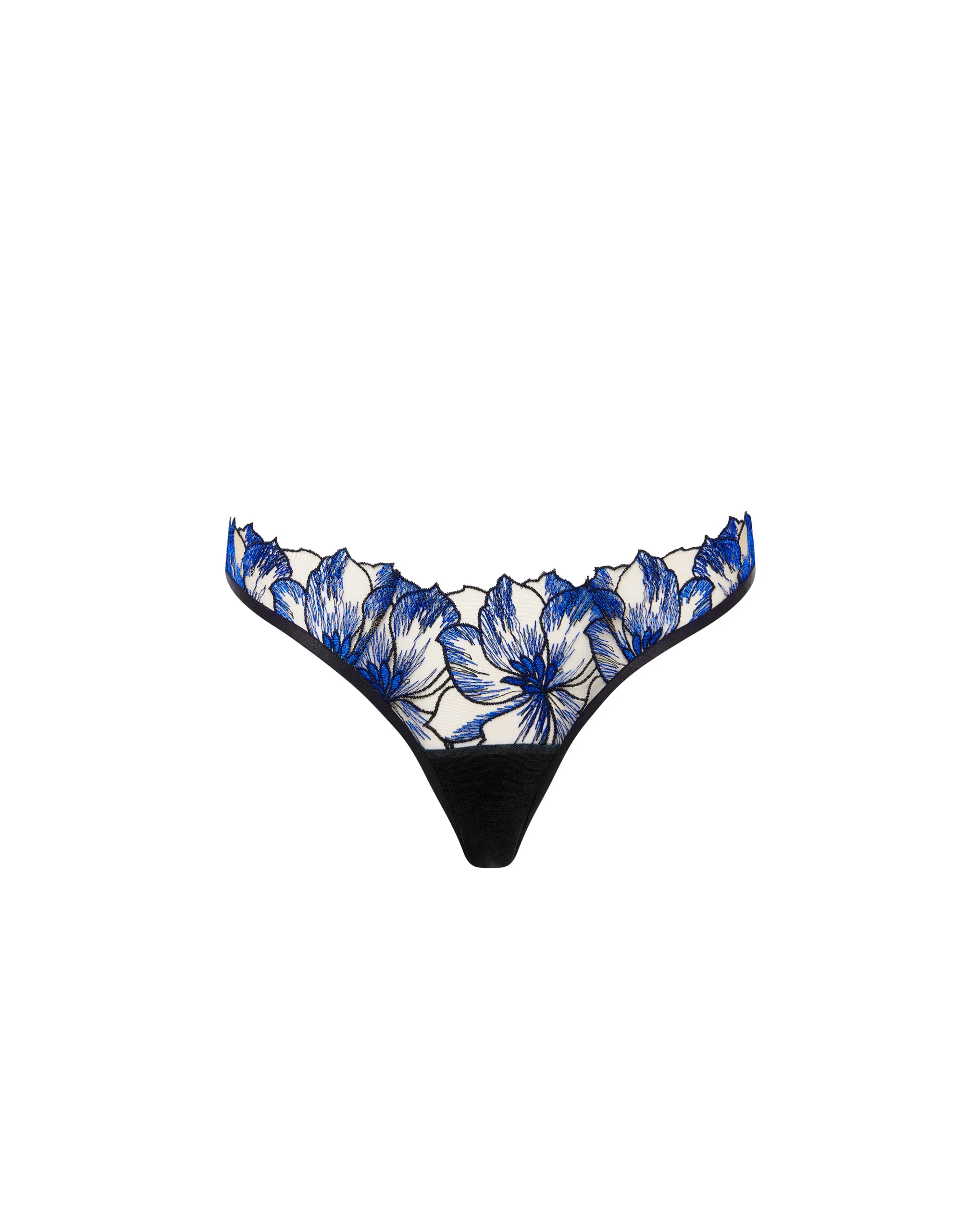 Lyandra Brief Egyptian Blue/Black/Sheer sold by Bluebella product image thumbnail 5