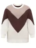 Colorblock Lantern Sleeve Drop Shoulder Loose Pullover sold by Bloomchic
