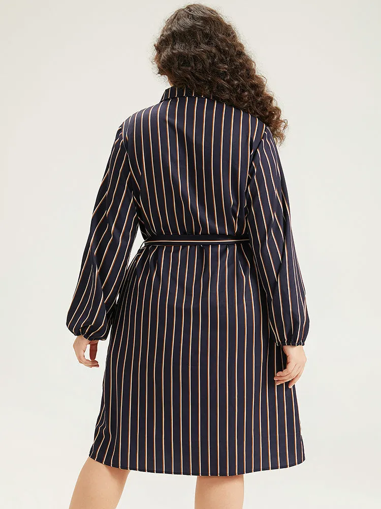 Striped Belted Lantern Sleeve Button Through Dress sold by Bloomchic product image thumbnail 4