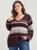 Striped Contrast Spacedye Knit V Neck Heather Knit Top sold by Bloomchic